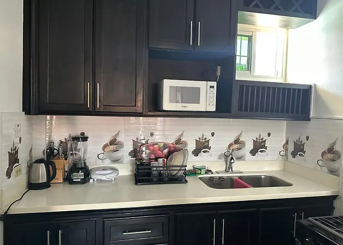 Remarkable 1-Bed Apartment In Montego Bay