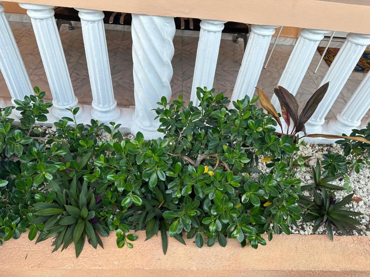 Remarkable 1-bed In Montego Bay