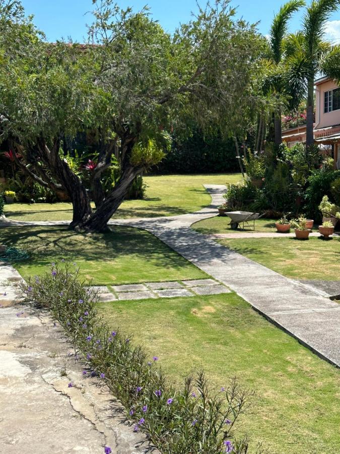 Remarkable 1-bed In Montego Bay