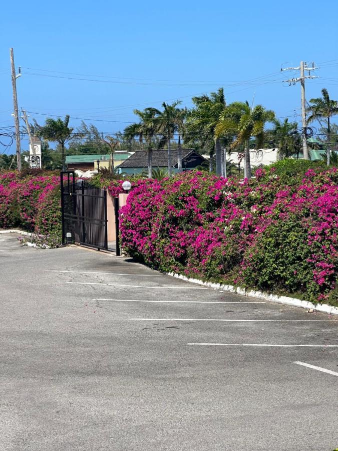 Remarkable 1-bed In Montego Bay